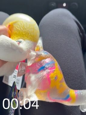 Squishes